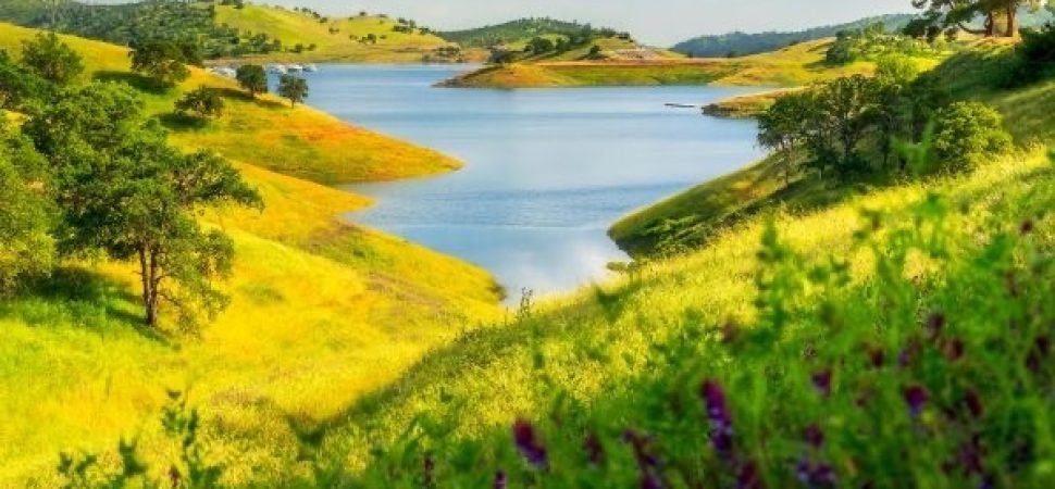 Nature Retreat Coach Hire for Digital Detox Groups